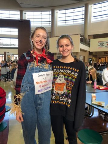 Trick-or-Treating: Should High Schoolers Keep Going?