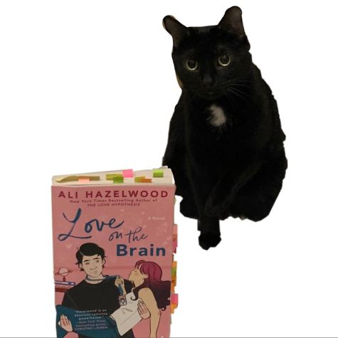 Cat with Love on the Brain book.