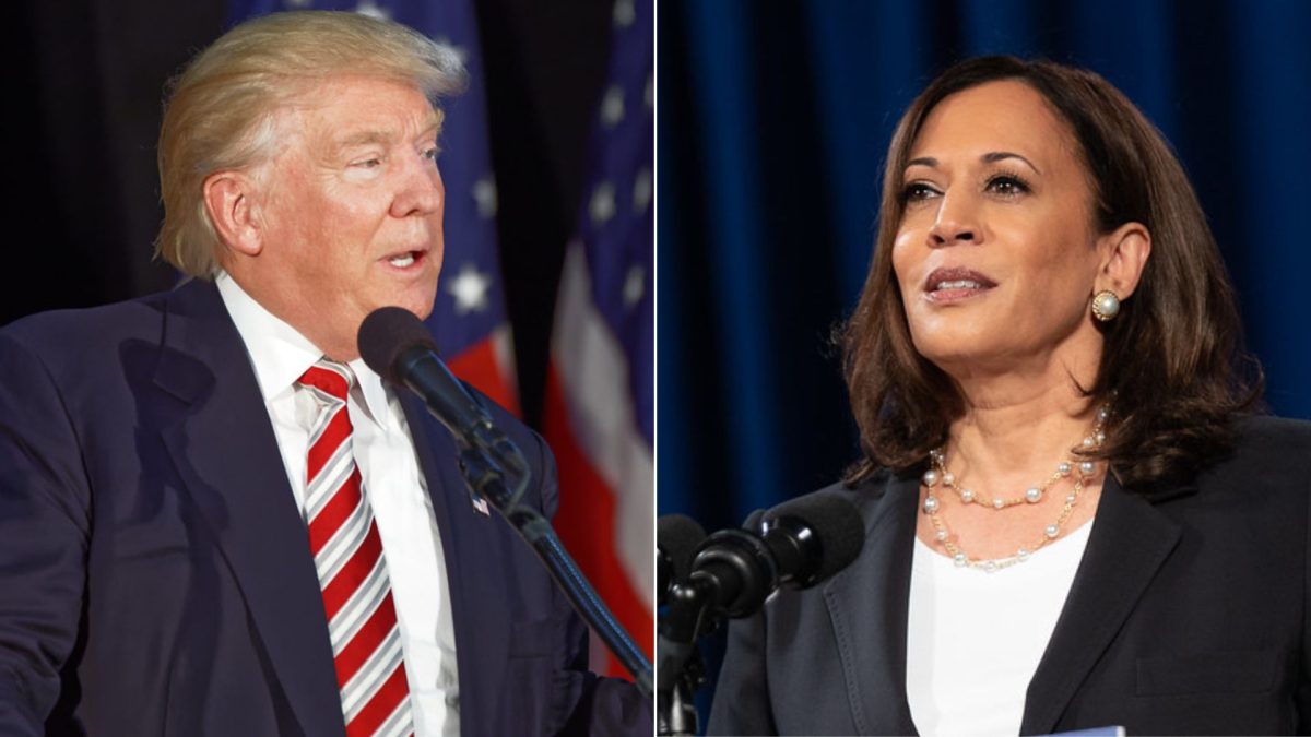 Left: Donald Trump (Photographed by Michael Vadon), Right: Kamala Harris (Photographed by Lawrence Jackson)